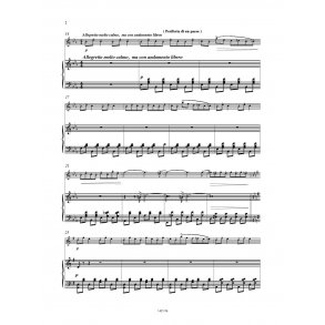 La strada : V: Periferia di un paese (Rielaborazione per fIauto e pianoforte di C. Tabarelli)